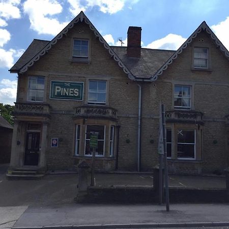 The Pines Guest Accommodation チッペナム エクステリア 写真